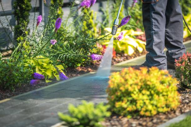 Best Dumpster Area Cleaning  in Greensboro, GA