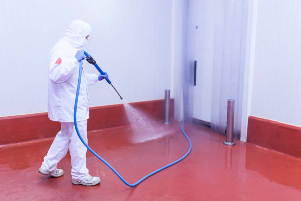 Best Sidewalk and Walkway Cleaning  in Greensboro, GA