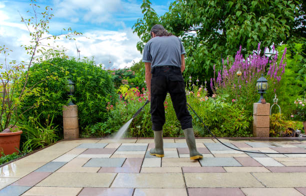 Best Patio and Deck Pressure Washing  in Greensboro, GA